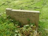 image of grave number 106303